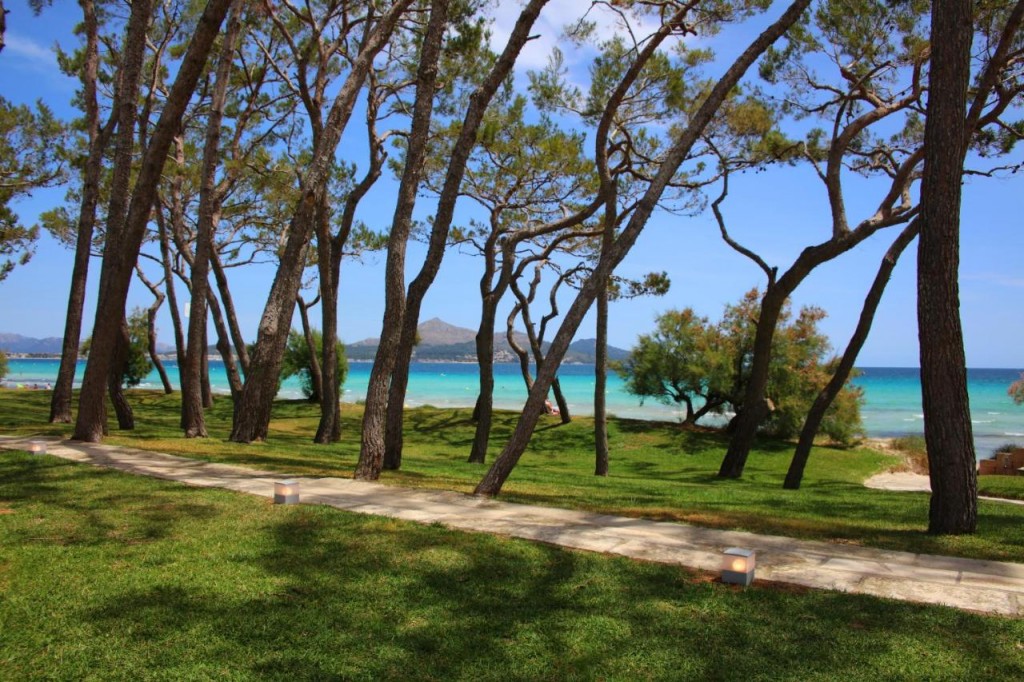 Iberostar Playa De Muro