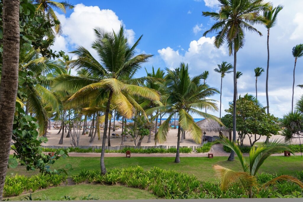 Coral Level at Iberostar Selection Bavaro