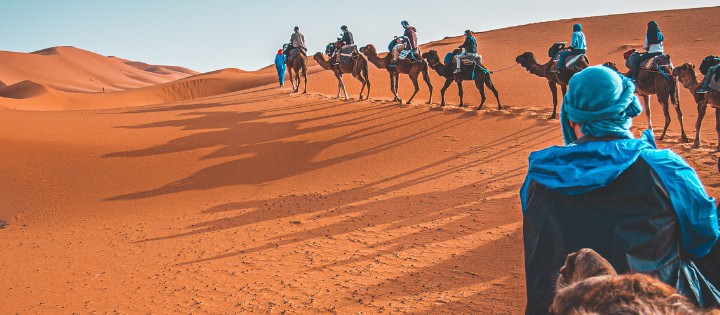 LES JARDINS D'AGADIR